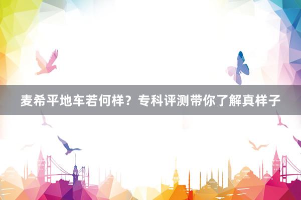 麦希平地车若何样?专科评测带你了解真样子